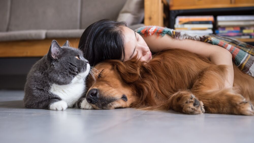 assicoop-assicurazione-cane-gatto